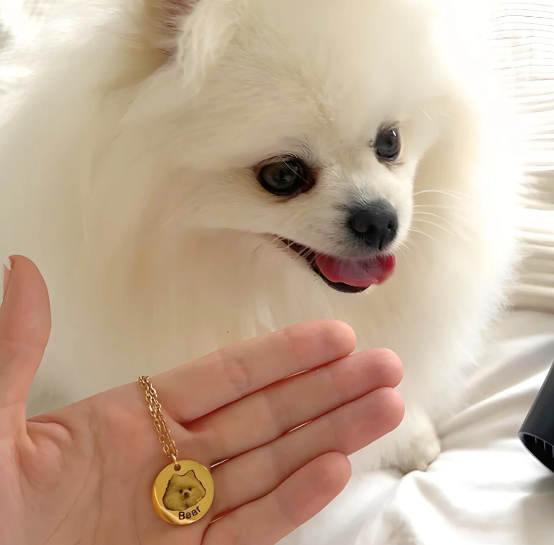 Pet Photo Necklace