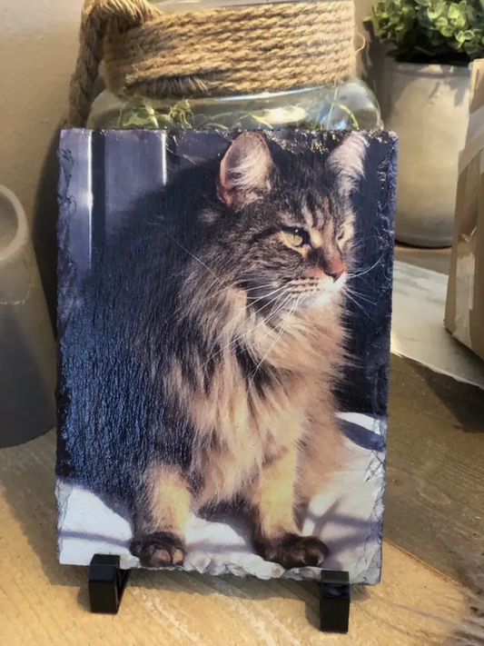 Printed Stone Plaque for Pet Memorials, Home Decor, or Gifts