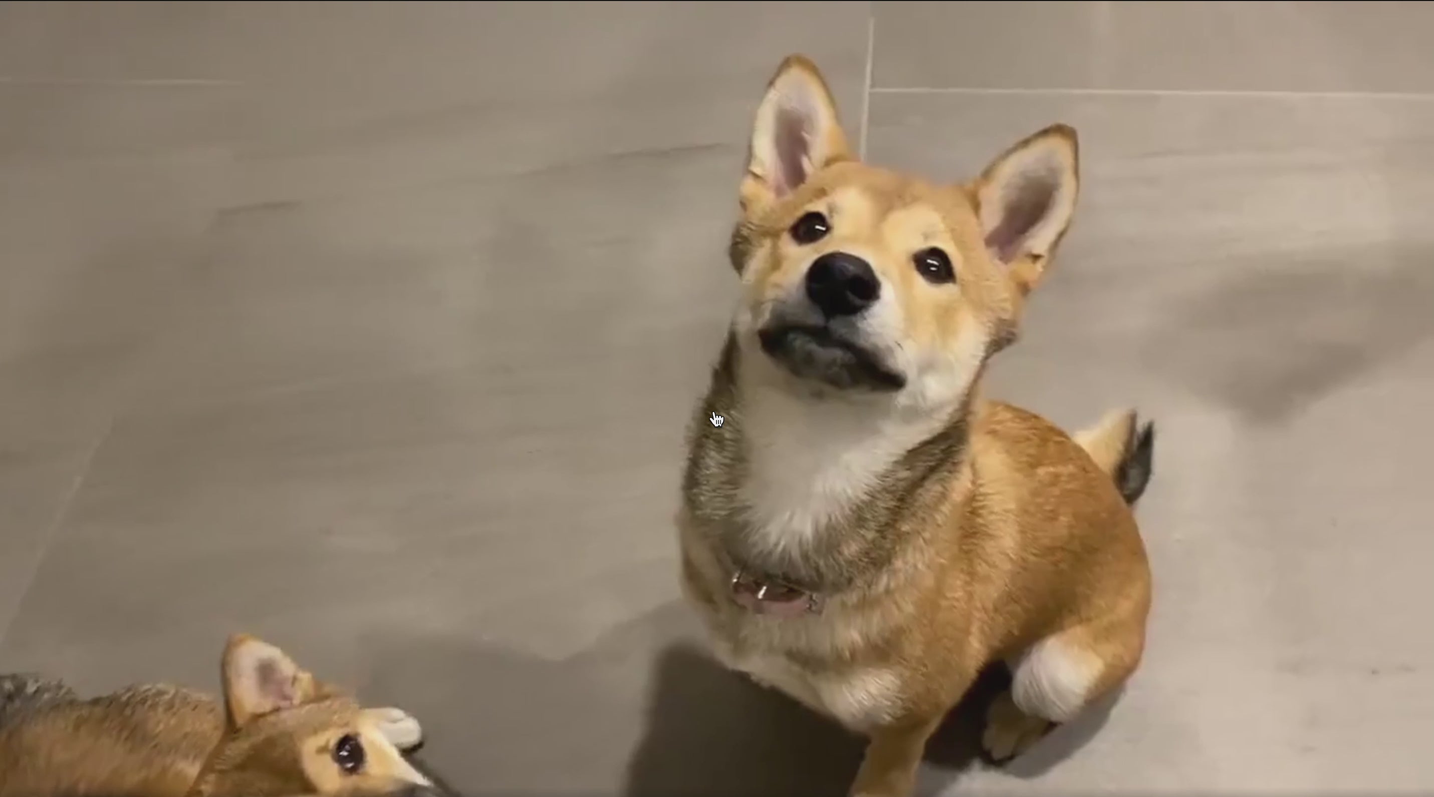 Load video: 